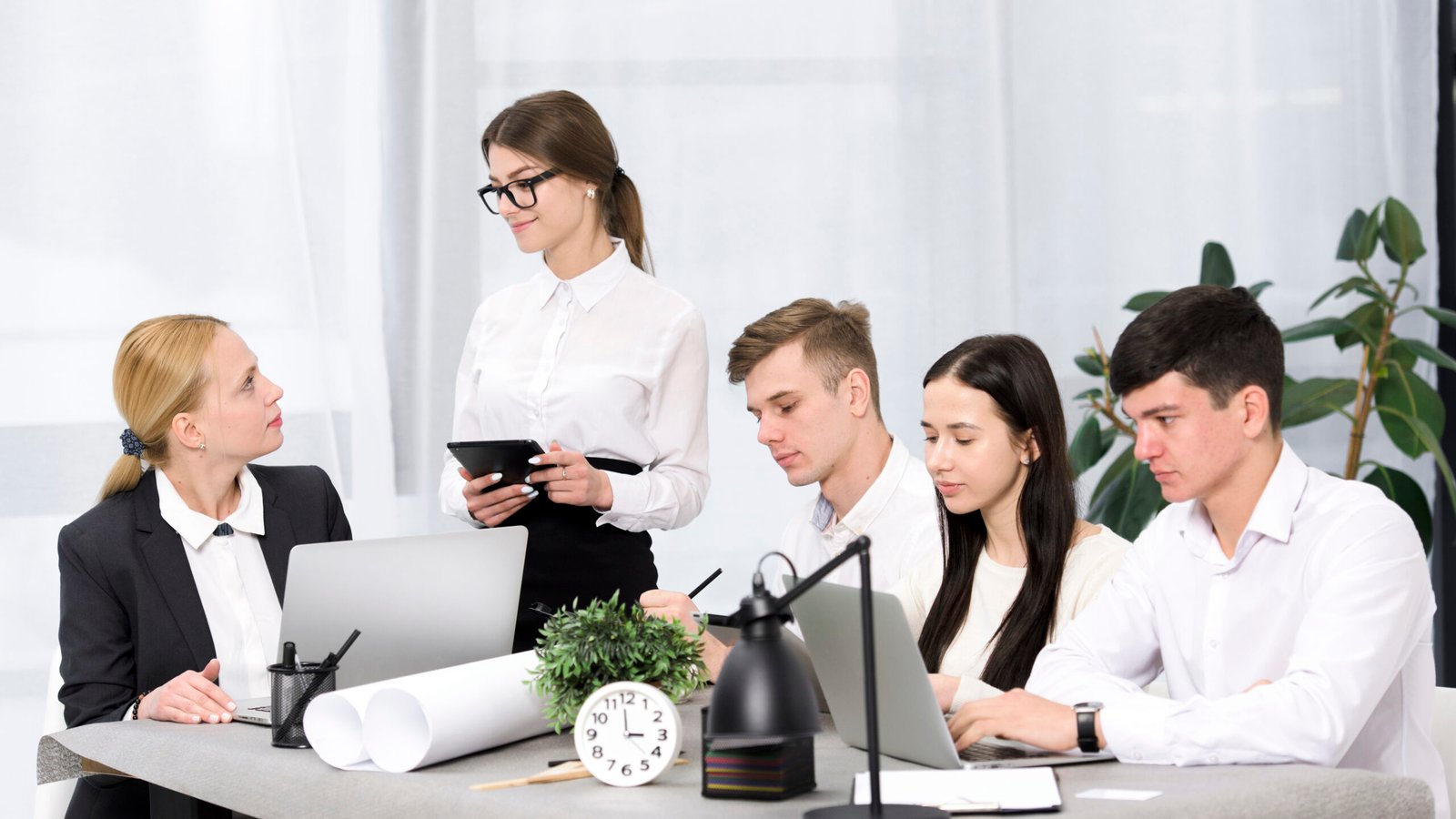 Professional finance team